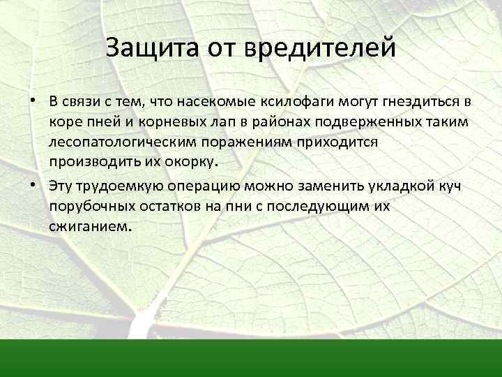 Защита от вредителей • В связи с тем, что насекомые ксилофаги могут гнездиться в