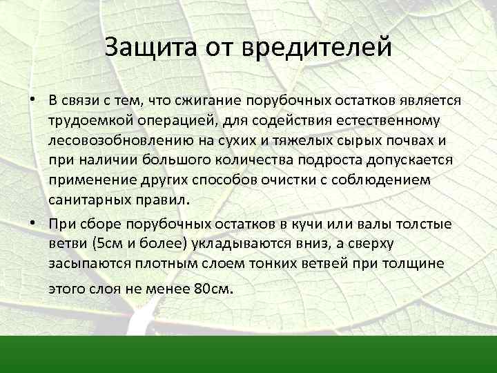 Защита от вредителей • В связи с тем, что сжигание порубочных остатков является трудоемкой