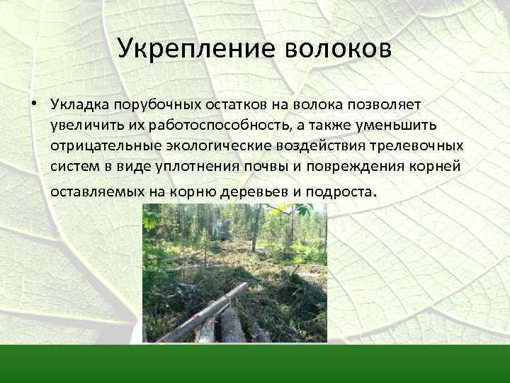 Укрепление волоков • Укладка порубочных остатков на волока позволяет увеличить их работоспособность, а также