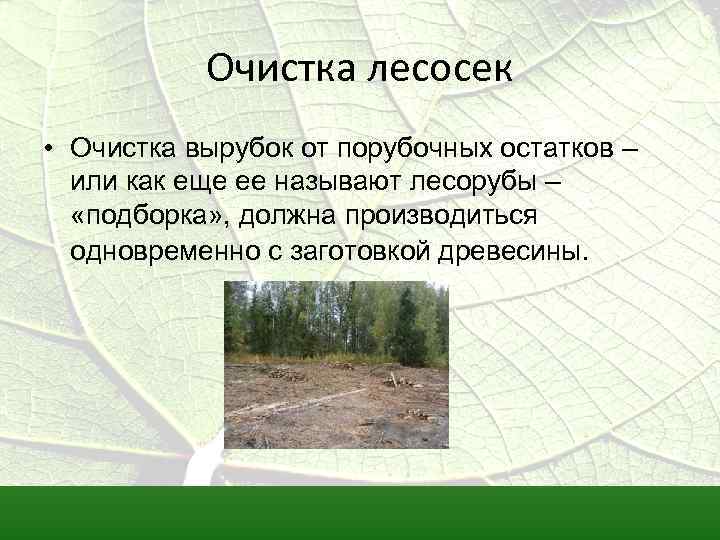 Очистка лесосек • Очистка вырубок от порубочных остатков – или как еще ее называют