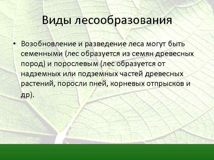 Виды лесообразования • Возобновление и разведение леса могут быть семенными (лес образуется из семян