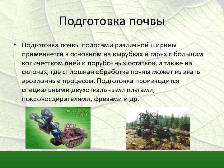 Подготовка почвы • Подготовка почвы полосами различной ширины применяется в основном на вырубках и
