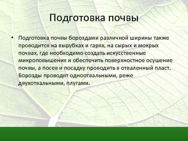 Подготовка почвы • Подготовка почвы бороздами различной ширины также проводится на вырубках и гарях,