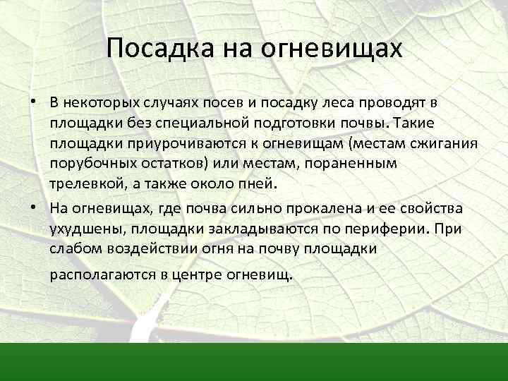Посадка на огневищах • В некоторых случаях посев и посадку леса проводят в площадки