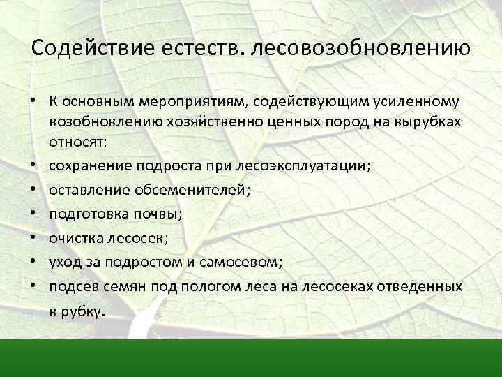 Содействие естеств. лесовозобновлению • К основным мероприятиям, содействующим усиленному возобновлению хозяйственно ценных пород на