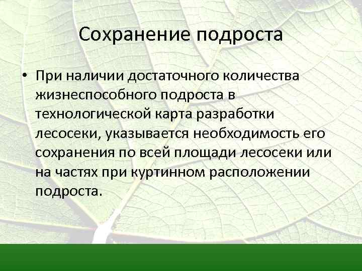 Сохранение подроста • При наличии достаточного количества жизнеспособного подроста в технологической карта разработки лесосеки,
