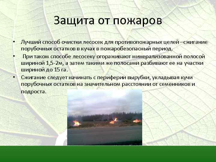Защита от пожаров • Лучший способ очистки лесосек для противопожарных целей –сжигание порубочных остатков