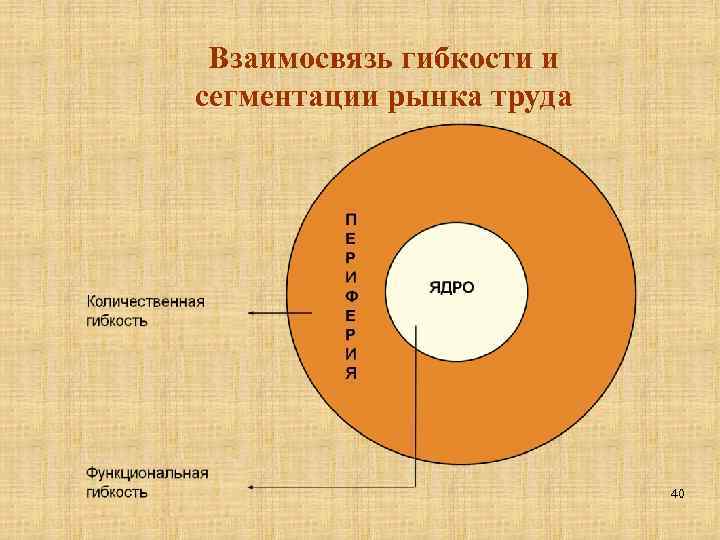 Взаимосвязь гибкости и сегментации рынка труда 40 