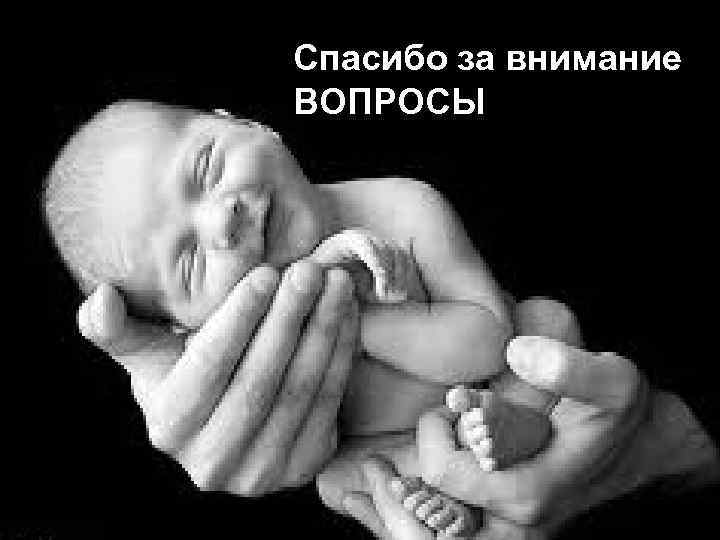 Спасибо за внимание ВОПРОСЫ 
