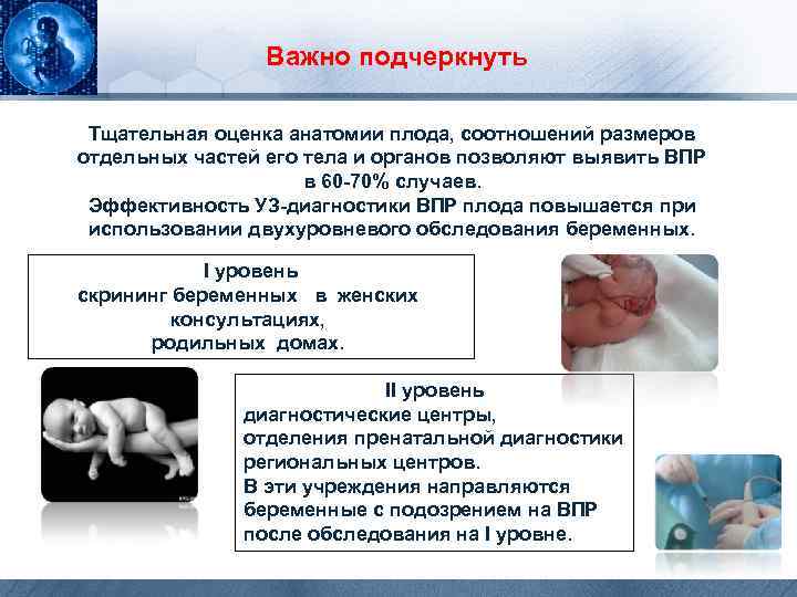Важно подчеркнуть Тщательная оценка анатомии плода, соотношений размеров отдельных частей его тела и органов