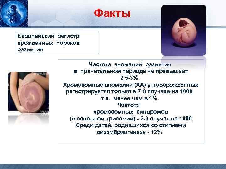 Факты Европейский регистр врожденных пороков развития Частота аномалий развития в пренатальном периоде не превышает