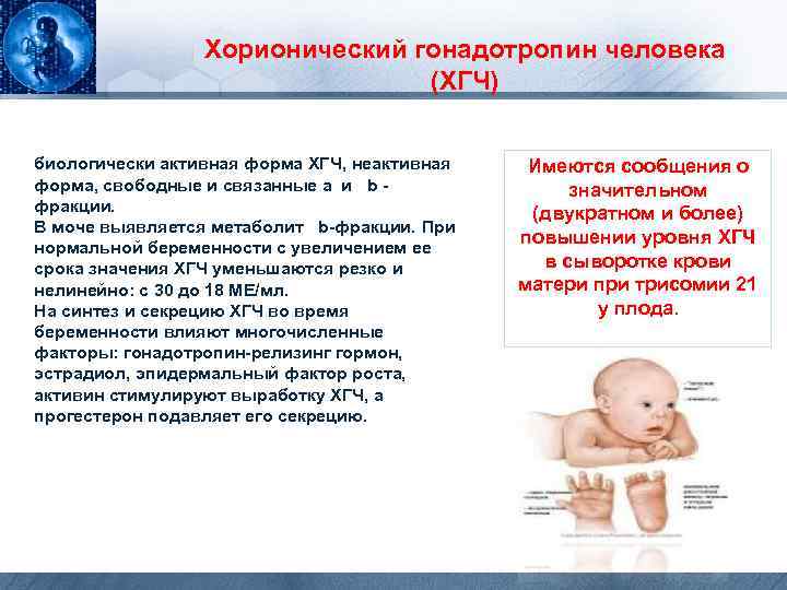 Хорионический гонадотропин человека (ХГЧ) биологически активная форма ХГЧ, неактивная форма, свободные и связанные a
