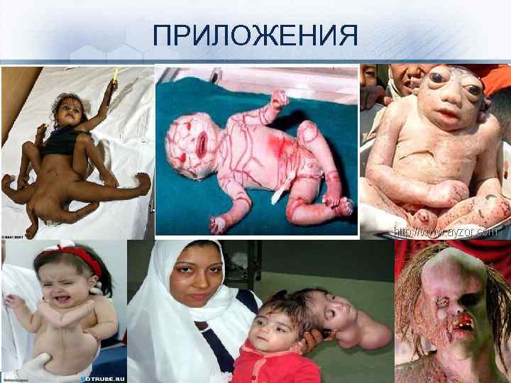 ПРИЛОЖЕНИЯ 