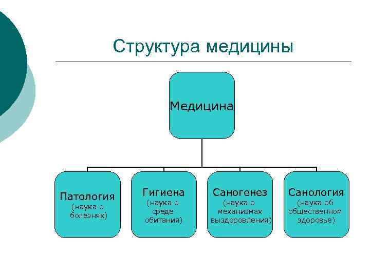 Структура медицины Медицина Патология (наука о болезнях) Гигиена (наука о среде обитания) Саногенез (наука