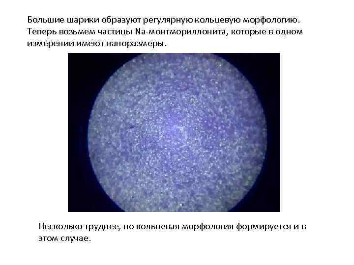 Большие шарики образуют регулярную кольцевую морфологию. Теперь возьмем частицы Na-монтмориллонита, которые в одном измерении