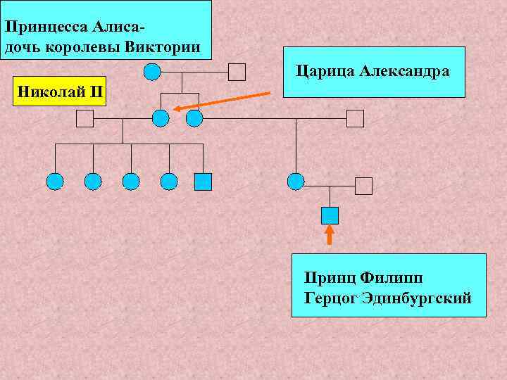 С полом типу