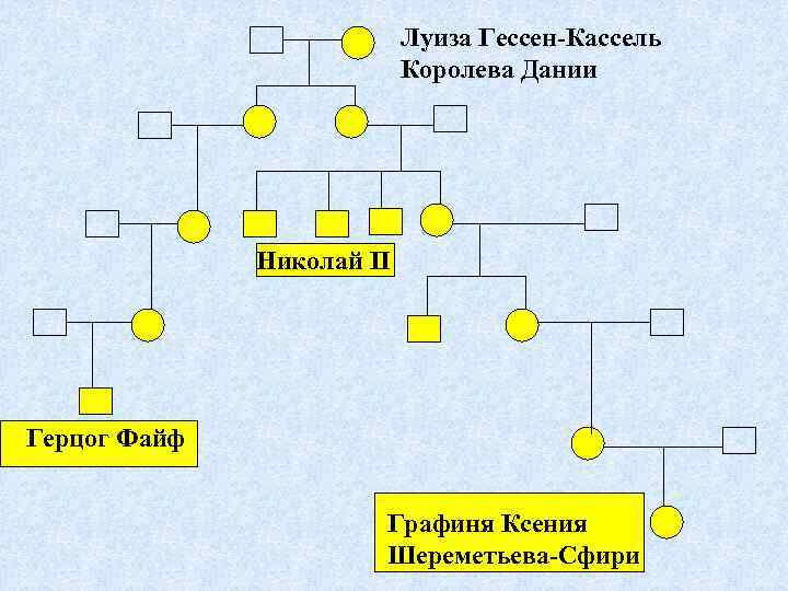 Луиза Гессен-Кассель Королева Дании Николай II Герцог Файф Графиня Ксения Шереметьева-Сфири 