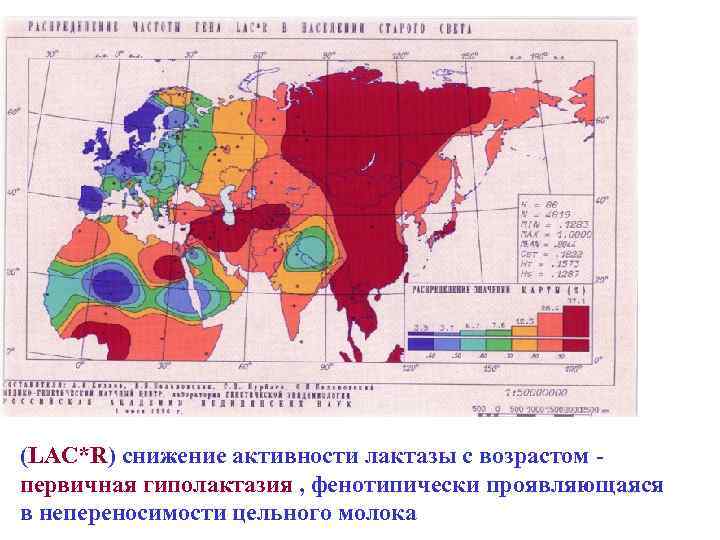 (LAC*R) снижение активности лактазы с возрастом первичная гиполактазия , фенотипически проявляющаяся в непереносимости цельного