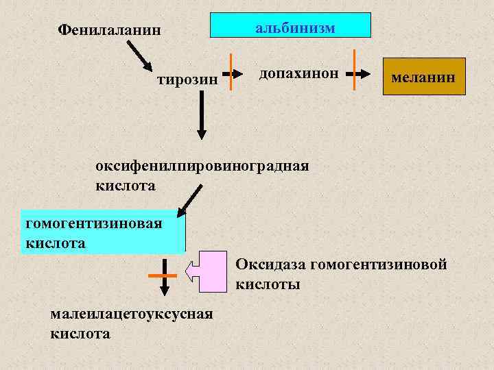 Фенилаланин биохимия. Схема превращения фенилаланина и тирозина. Обмен фенилаланина и тирозина в печени. Метаболизм фенилаланина. Схема синтеза меланина.