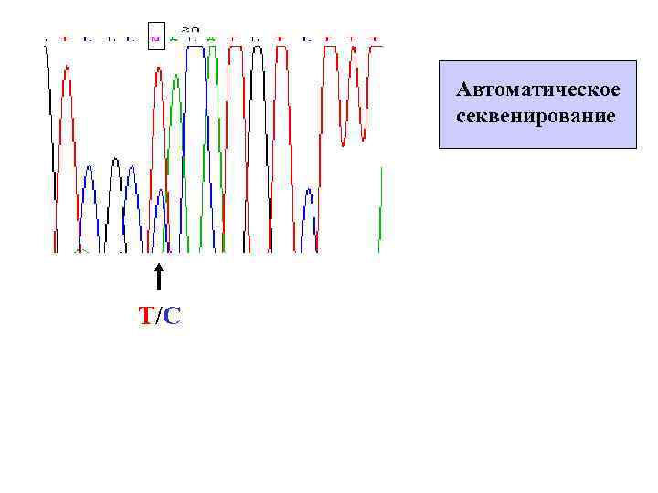 Автоматическое секвенирование Т/C 