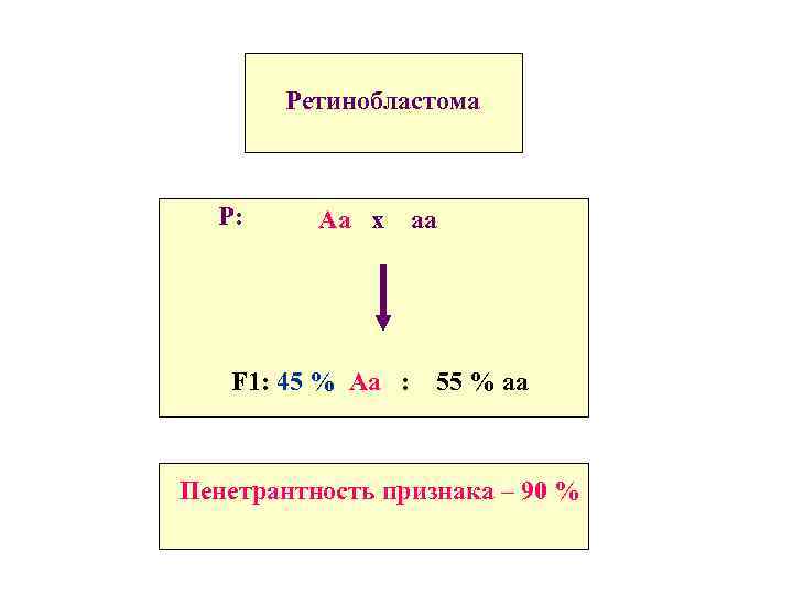 Ретинобластома Р: Аа х аа F 1: 45 % Аа : 55 % аа