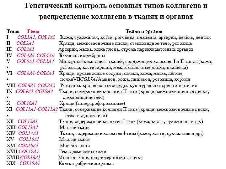 Генетический контроль основных типов коллагена и распределение коллагена в тканях и органах Типы Гены