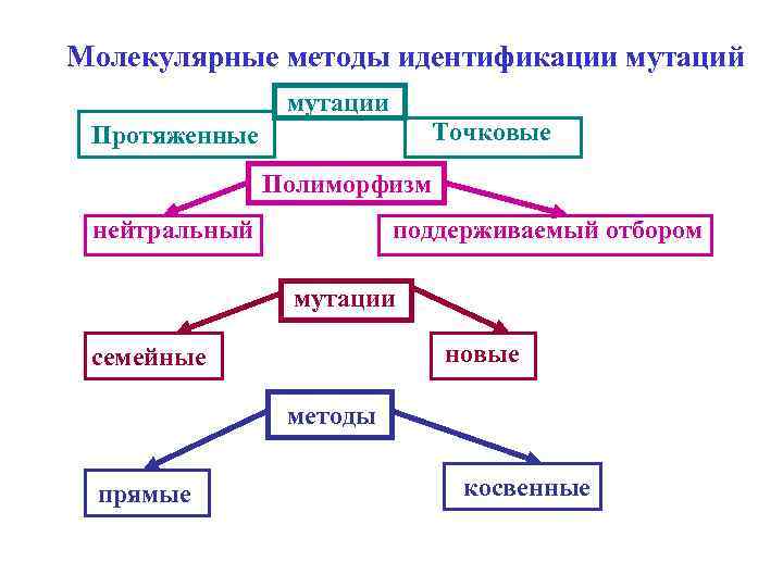 Молекулярные методы идентификации мутаций мутации Точковые Протяженные Полиморфизм нейтральный поддерживаемый отбором мутации новые семейные