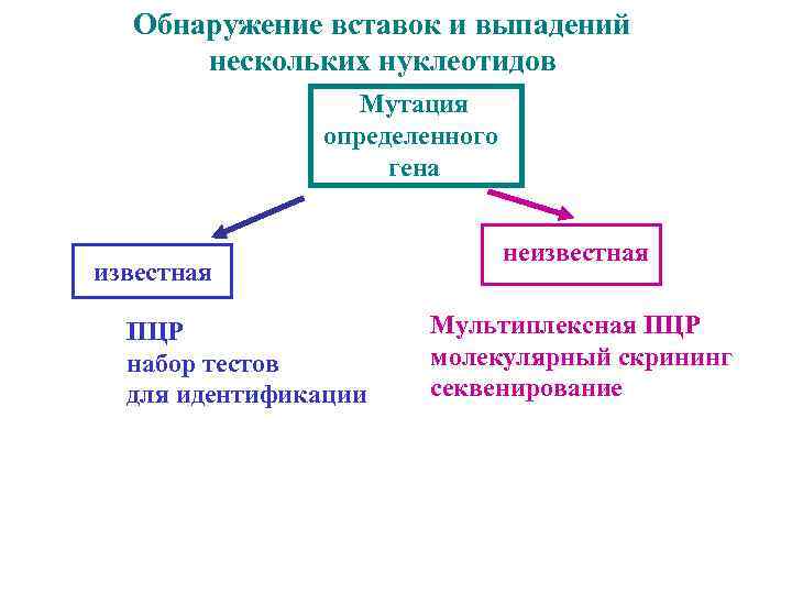 Обнаружение вставок и выпадений нескольких нуклеотидов Мутация определенного гена известная ПЦР набор тестов для