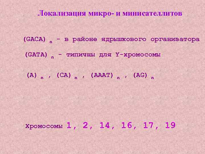 Локализация микро- и минисателлитов (GACA) n - в районе ядрышкового организатора (GATA) n -