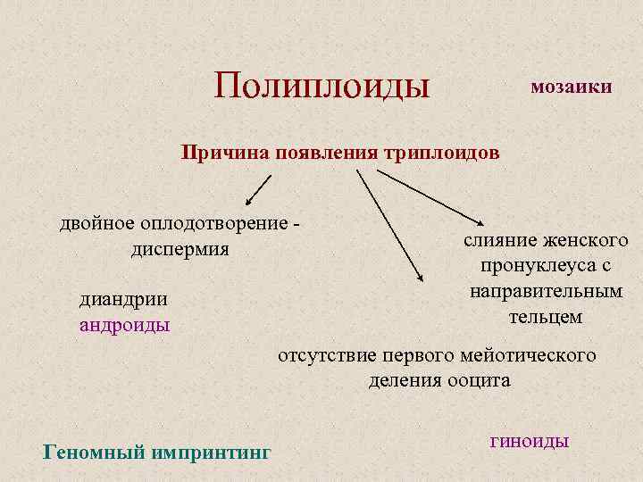 Полиплоиды мозаики Причина появления триплоидов двойное оплодотворение диспермия диандрии андроиды слияние женского пронуклеуса с