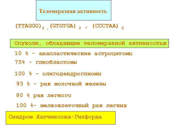 Теломеразная активность (TTAGGG)2 , (GTGTGA) 2 , (CCCTAA) 2 Опухоли, обладающие теломеразной активностью: 10