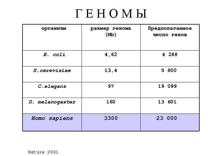 Г Е Н О М Ы организм размер генома (Mb) Предполагаемое число генов E.