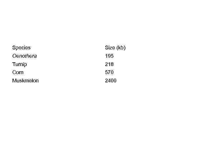 Species Size (kb) Oenothera 195 Turnip 218 Corn 570 Muskmelon 2400 