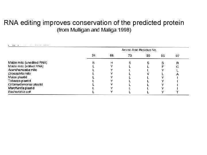 RNA editing improves conservation of the predicted protein (from Mulligan and Maliga 1998) 