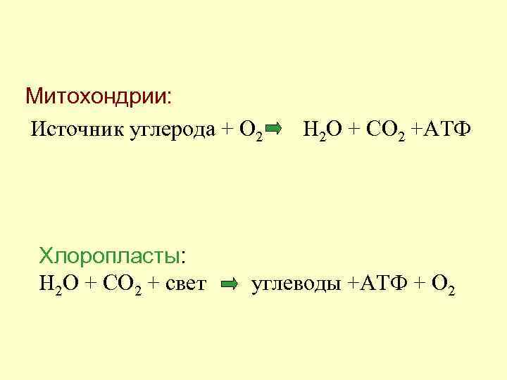  Митохондрии: Источник углерода + О 2 Хлоропласты: Н 2 О + СО 2