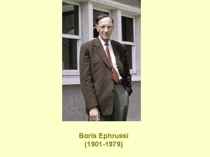 Boris Ephrussi (1901 -1979) 