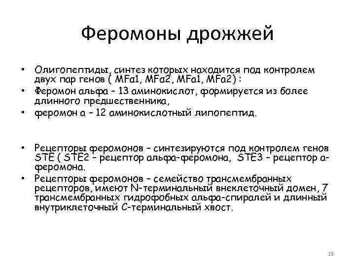 Феромоны дрожжей • Олигопептиды, синтез которых находится под контролем двух пар генов ( MFα