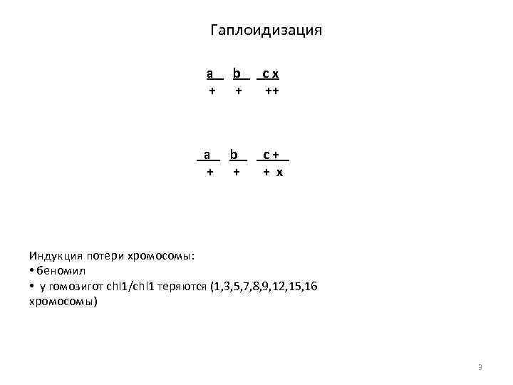Гаплоидизация a + b + cx ++ a + b + c+ + x