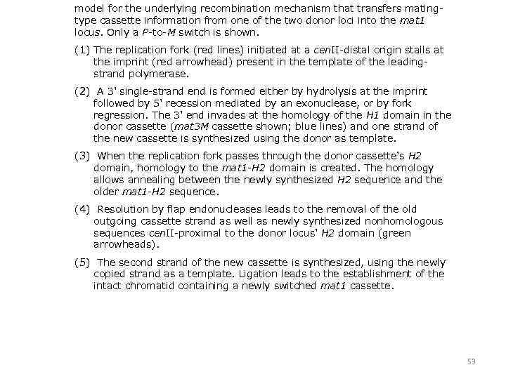 model for the underlying recombination mechanism that transfers matingtype cassette information from one of