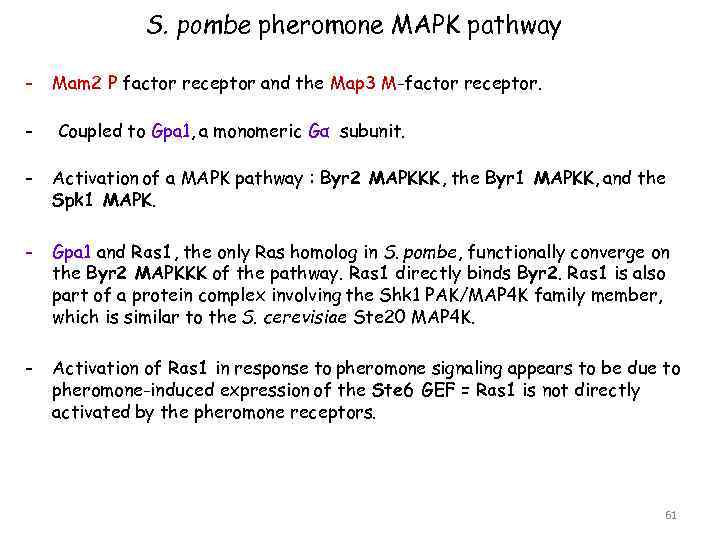S. pombe pheromone MAPK pathway - Mam 2 P factor receptor and the Map