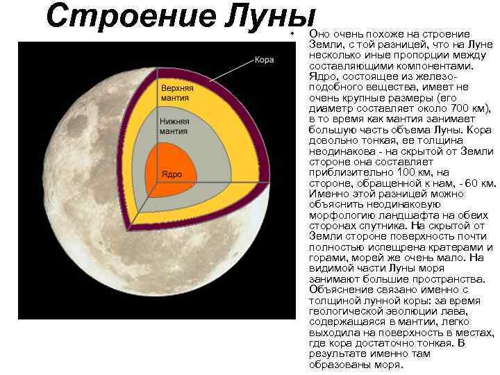 Схема строения луны