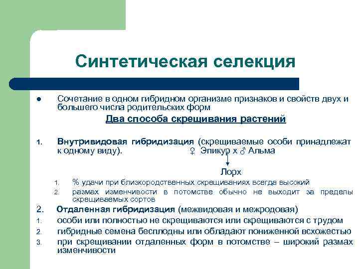 Искусственная селекция. Синтетическая селекция это. Аналитическая и синтетическая селекция. Методы скрещивания.