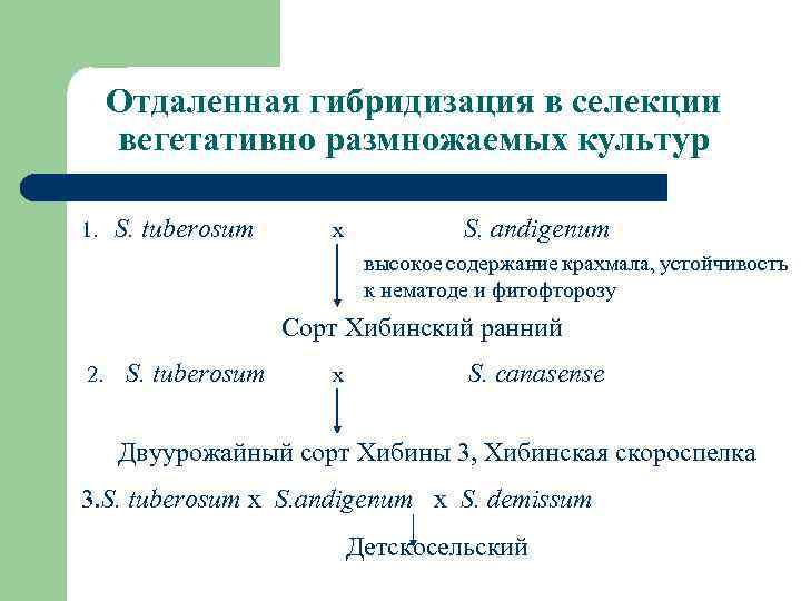 Отдаленная гибридизация в селекции вегетативно размножаемых культур 1. S. tuberosum x S. andigenum высокое