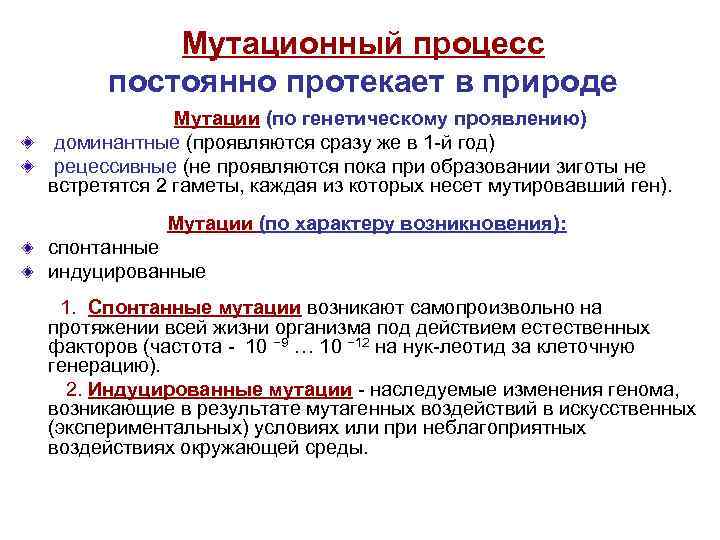 Мутационный процесс постоянно протекает в природе Мутации (по генетическому проявлению) доминантные (проявляются сразу же