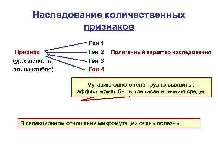 Количественные признаки