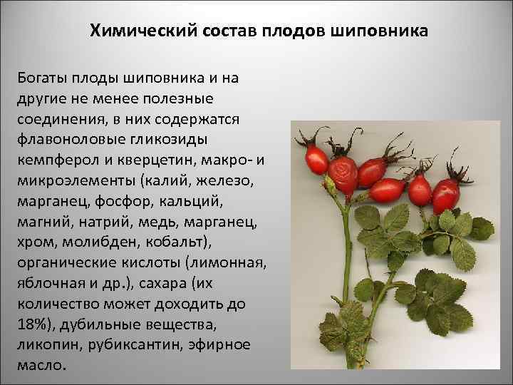Химический состав плодов шиповника Богаты плоды шиповника и на другие не менее полезные соединения,