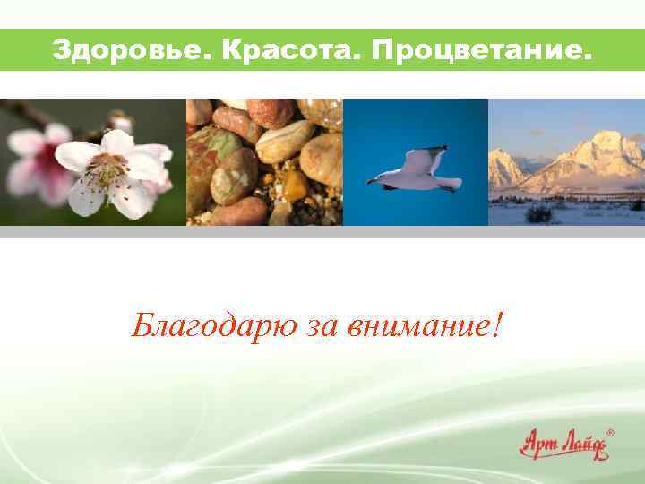 Здоровье. Красота. Процветание. Благодарю за внимание! 