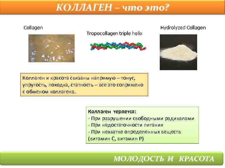 КОЛЛАГЕН – что это? Коллаген и красота связаны напрямую – тонус, упругость, походка, статность