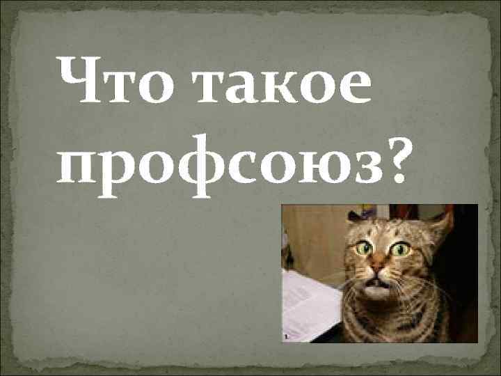 Что такое профсоюз? 