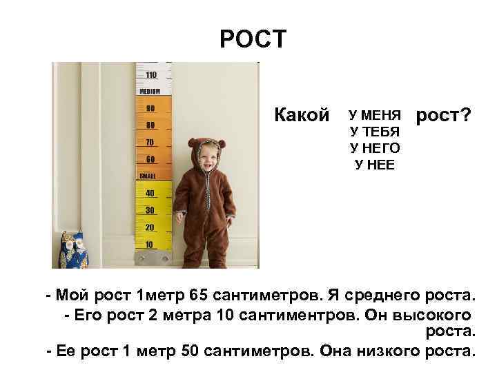 РОСТ Какой У МЕНЯ У ТЕБЯ У НЕГО У НЕЕ рост? - Мой рост